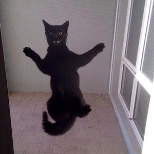 Meet your Posher, Evan